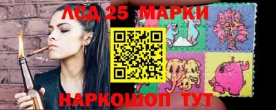 spice Брянск