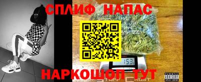 гидра Боровичи