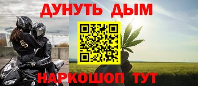 гидра Боровичи