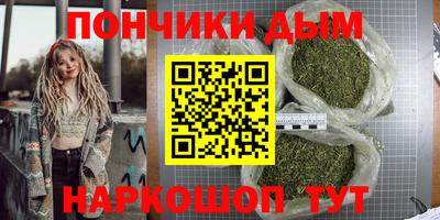 гидра Боровичи
